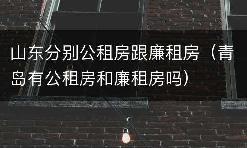 山东分别公租房跟廉租房（青岛有公租房和廉租房吗）