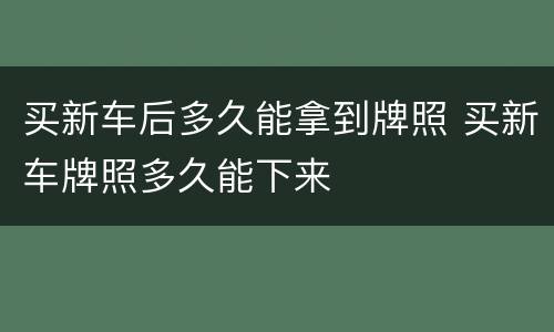 买新车后多久能拿到牌照 买新车牌照多久能下来
