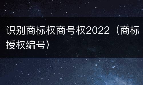 识别商标权商号权2022（商标授权编号）