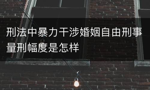 刑法中暴力干涉婚姻自由刑事量刑幅度是怎样