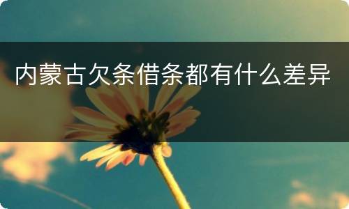 内蒙古欠条借条都有什么差异