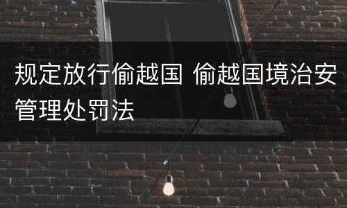 规定放行偷越国 偷越国境治安管理处罚法