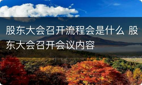 股东大会召开流程会是什么 股东大会召开会议内容