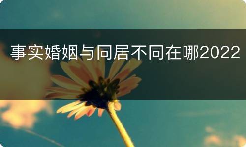 事实婚姻与同居不同在哪2022
