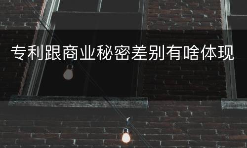 专利跟商业秘密差别有啥体现