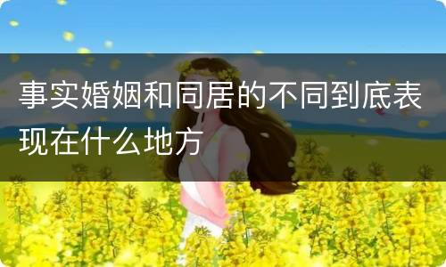 事实婚姻和同居的不同到底表现在什么地方