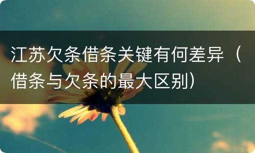 江苏欠条借条关键有何差异（借条与欠条的最大区别）