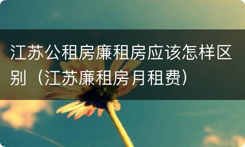 江苏公租房廉租房应该怎样区别（江苏廉租房月租费）