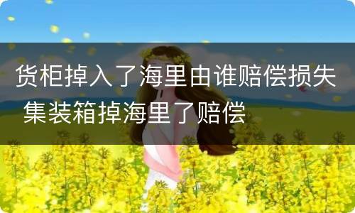 货柜掉入了海里由谁赔偿损失 集装箱掉海里了赔偿