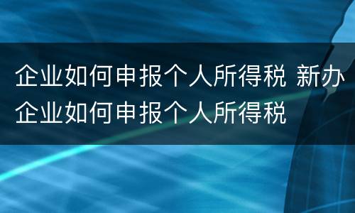 企业如何申报个人所得税 新办企业如何申报个人所得税
