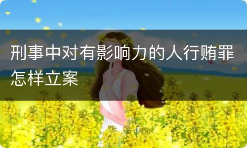 刑事中对有影响力的人行贿罪怎样立案