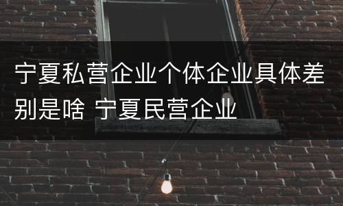 宁夏私营企业个体企业具体差别是啥 宁夏民营企业