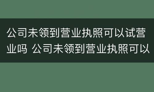 公司未领到营业执照可以试营业吗 公司未领到营业执照可以试营业吗