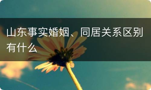 山东事实婚姻、同居关系区别有什么