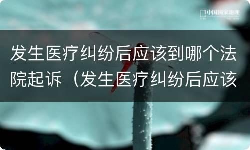 发生医疗纠纷后应该到哪个法院起诉（发生医疗纠纷后应该到哪个法院起诉离婚）