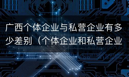 广西个体企业与私营企业有多少差别（个体企业和私营企业）