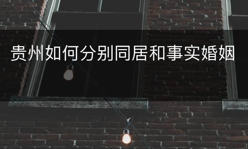 贵州如何分别同居和事实婚姻
