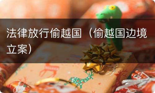 法律放行偷越国（偷越国边境立案）