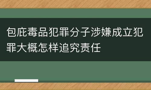 包庇毒品犯罪分子涉嫌成立犯罪大概怎样追究责任