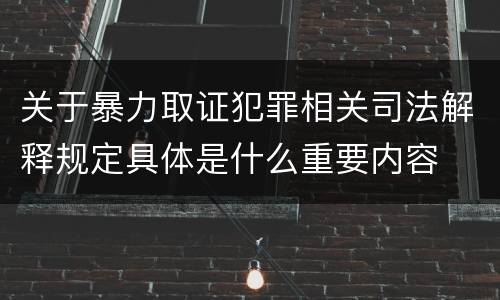 关于暴力取证犯罪相关司法解释规定具体是什么重要内容
