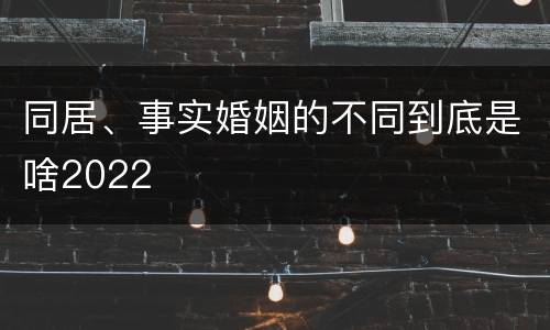 同居、事实婚姻的不同到底是啥2022