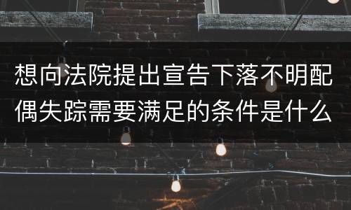 想向法院提出宣告下落不明配偶失踪需要满足的条件是什么