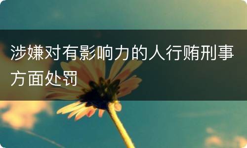 涉嫌对有影响力的人行贿刑事方面处罚