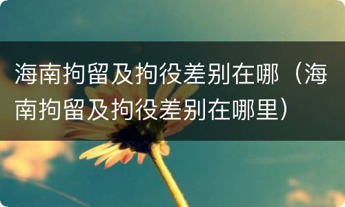 海南拘留及拘役差别在哪（海南拘留及拘役差别在哪里）