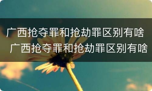 广西抢夺罪和抢劫罪区别有啥 广西抢夺罪和抢劫罪区别有啥不同