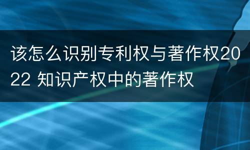 该怎么识别专利权与著作权2022 知识产权中的著作权