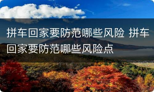 拼车回家要防范哪些风险 拼车回家要防范哪些风险点