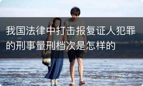 我国法律中打击报复证人犯罪的刑事量刑档次是怎样的