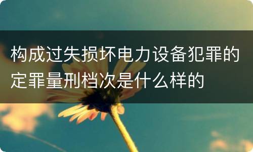 构成过失损坏电力设备犯罪的定罪量刑档次是什么样的