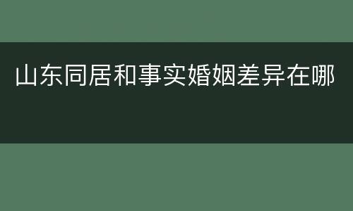 山东同居和事实婚姻差异在哪