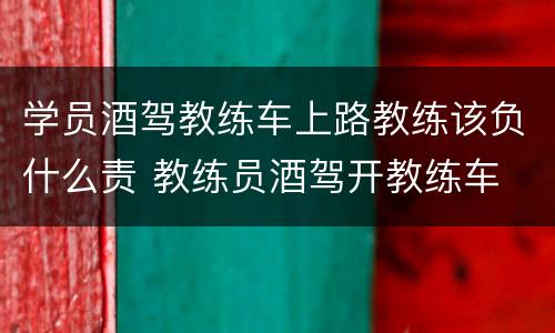 学员酒驾教练车上路教练该负什么责 教练员酒驾开教练车