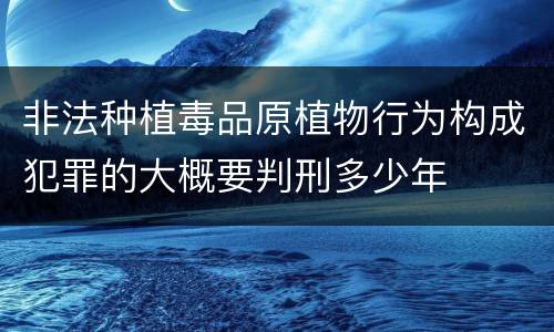非法种植毒品原植物行为构成犯罪的大概要判刑多少年
