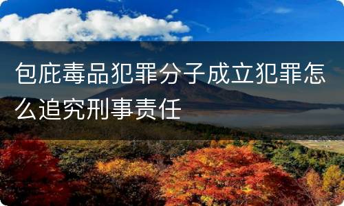 包庇毒品犯罪分子成立犯罪怎么追究刑事责任