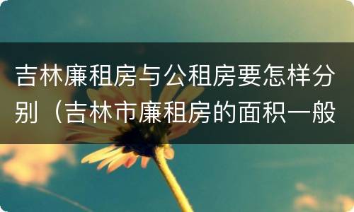 吉林廉租房与公租房要怎样分别（吉林市廉租房的面积一般多大）