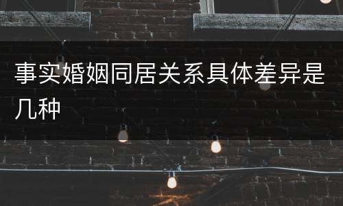 事实婚姻同居关系具体差异是几种