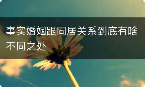 事实婚姻跟同居关系到底有啥不同之处