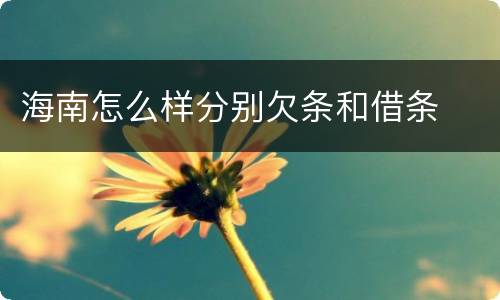 海南怎么样分别欠条和借条