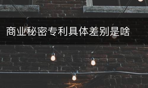 商业秘密专利具体差别是啥