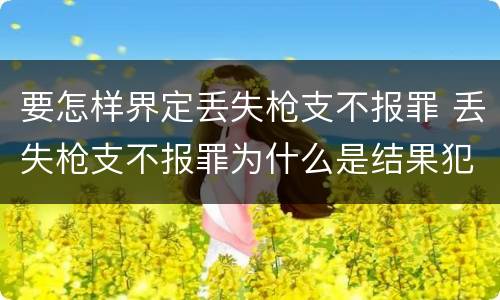 要怎样界定丢失枪支不报罪 丢失枪支不报罪为什么是结果犯