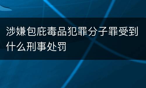 涉嫌包庇毒品犯罪分子罪受到什么刑事处罚