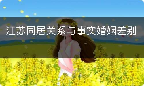 江苏同居关系与事实婚姻差别
