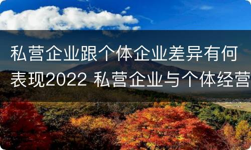 私营企业跟个体企业差异有何表现2022 私营企业与个体经营企业的区别