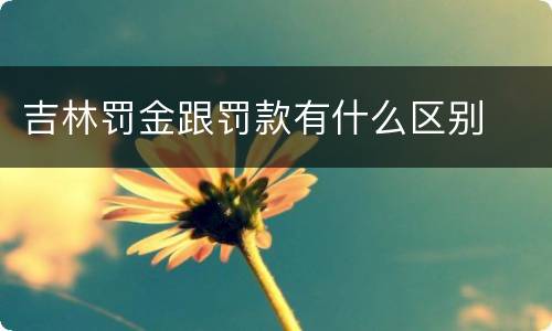 吉林罚金跟罚款有什么区别