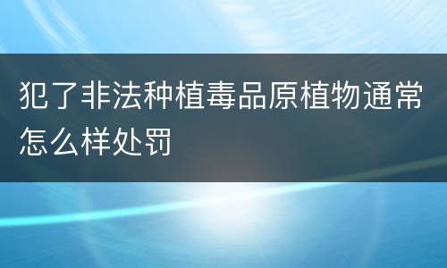 犯了非法种植毒品原植物通常怎么样处罚