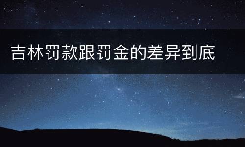 吉林罚款跟罚金的差异到底