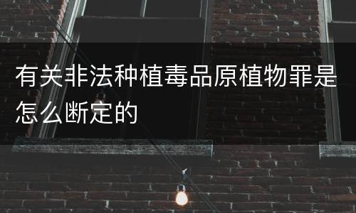 有关非法种植毒品原植物罪是怎么断定的